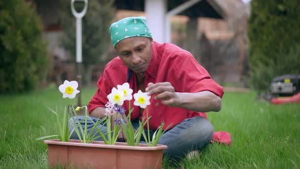 Serious Young Florist Checking Petals of White Tender Flowers in Pot Outdoors alt