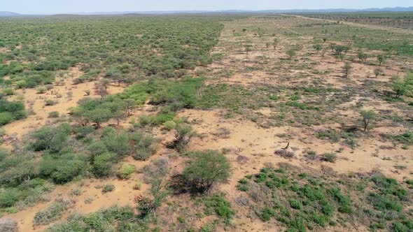 Aerial View Of Bush Clearing - Northern Namibia alt