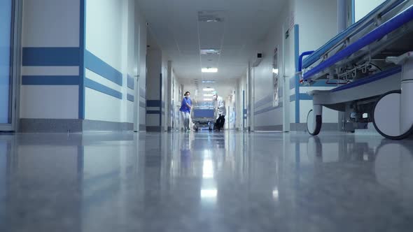 Patient Transportation in Hospital's Hallway
