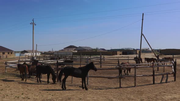 Zhalanash Village In The Aral Region alt