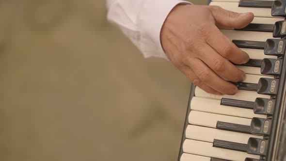 Plays a Musical Instrument alt