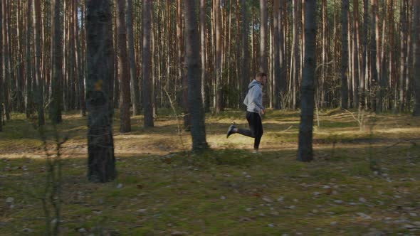 Morning Jogging In Pine Forest