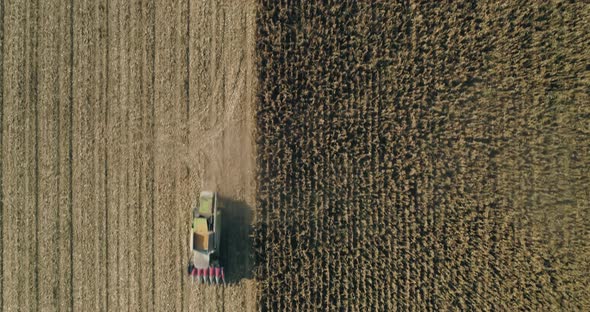 Combine Harvester Coming Back From Harvesting Corn Aerial Drone Shot Agriculture 01