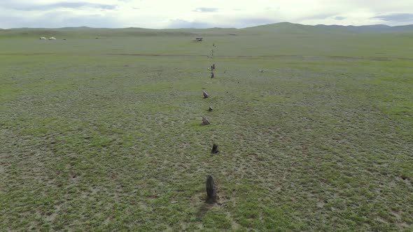 Statue Menhirs in the Central Asian Steppes alt