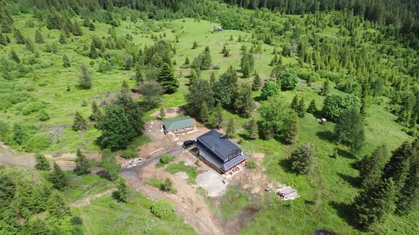 House in the woods alt