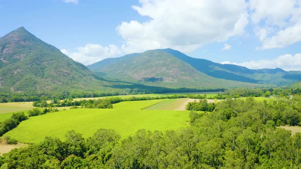 Aerial, Beautiful View On Sugar Cane Plantation In Tablelands In Queensland, Australia