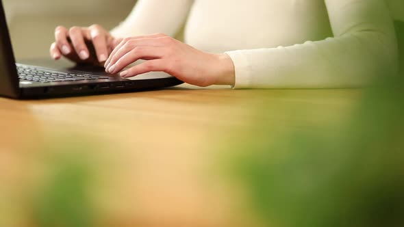 Unrecognizable Hand Woman Using Laptop Shopping Online