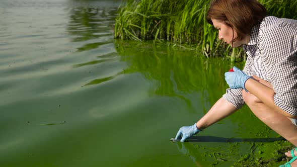 Female ecologist takes samples of river water infected with green algae in tube alt