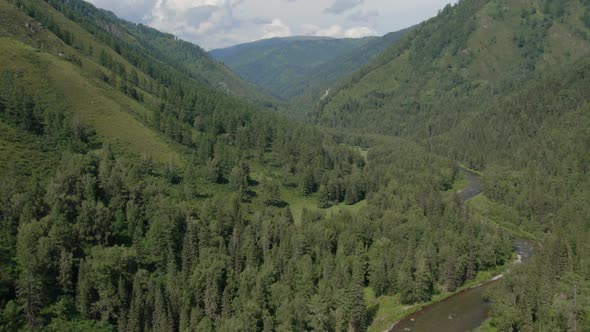 River in mountains with green forest in Altai