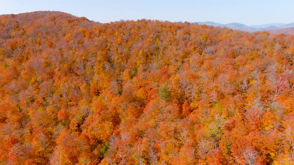 Aerial view of fall season foliage colors.