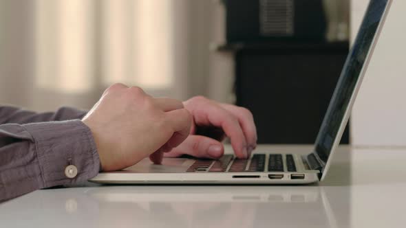 Freelancer Work at Sunny Morning or Day at Home alt