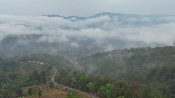 Aerial landscape view of greenery rainforest and hills on foggy day by drone