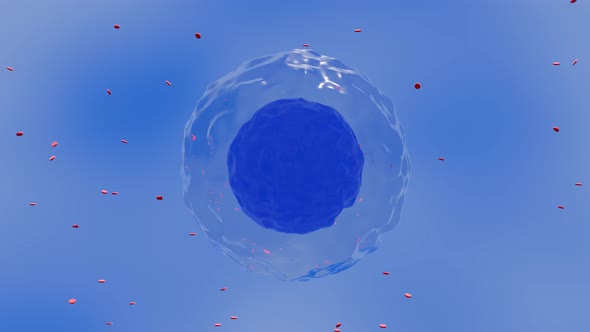 Cell Animation Blue Transparant