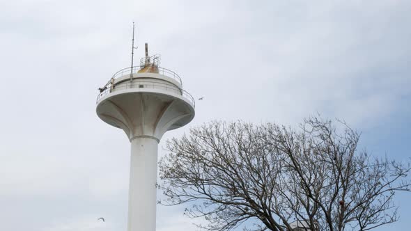 Low Angle View of Locator Radar and Birds Flying in Sky alt