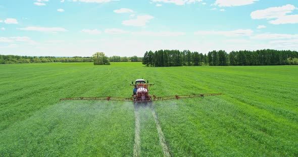 Agricultural Tractor Sprays a Field with Crops