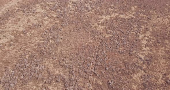 Drone Tilt Down View Arid Dry Desert Scrub Field with Criss Crossed Road Tracks alt