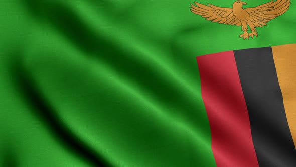 Flag Of Zambia