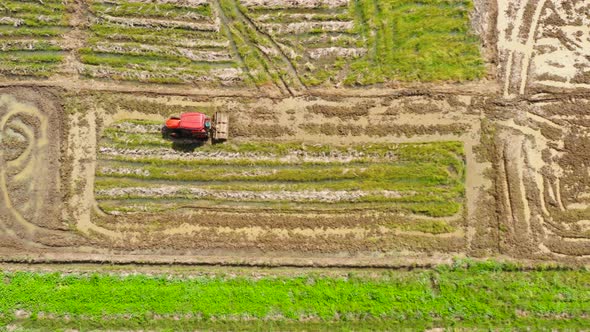 Paddy Field with Water, Top View, Agriculture in the Philippines alt