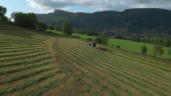 Silage Production. Hay Turner Pulled By Tractor Turning Grass On Farmland In Norway. wide aerial alt
