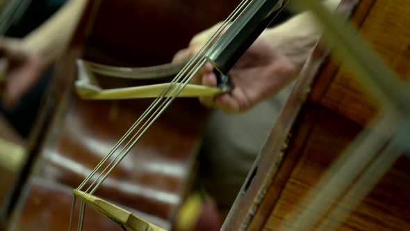 Cello bow playing the strings on an instrument alt