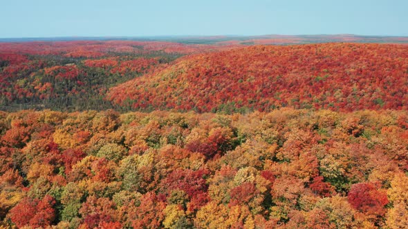 Aerial view flying over rolling hills with dense forest and beautiful fall colors - drone day alt