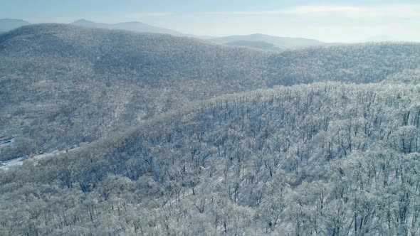 Aerial Winter Mountain Landscape of a Frozen Forest with Snow and Ice Covered Trees on a Sunny alt