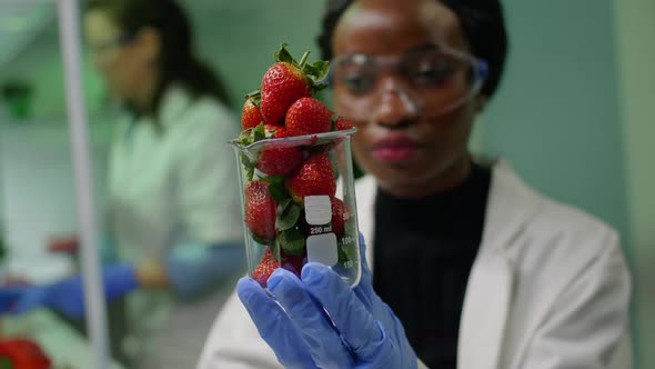 African Researcher Looking at Glass with Healthy Strawberry alt