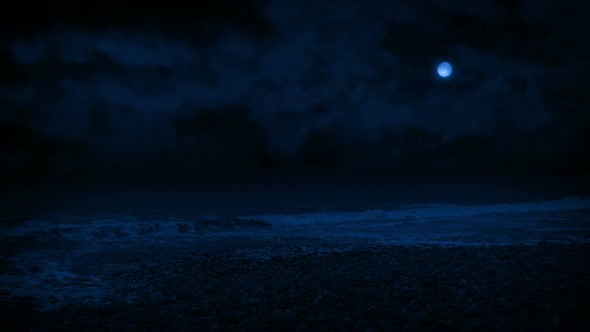 Rocky Beach Shore In The Moonlight alt