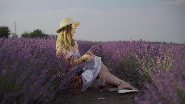 a Blonde Girl in a Hat on a Lavender Field Sits in the Bushes Makes a Bouquet of Lavender Branches alt