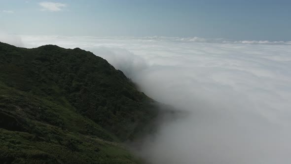 Flight Over Rainforest alt