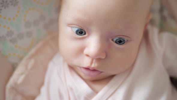 Newborn Baby Girl Portrait alt