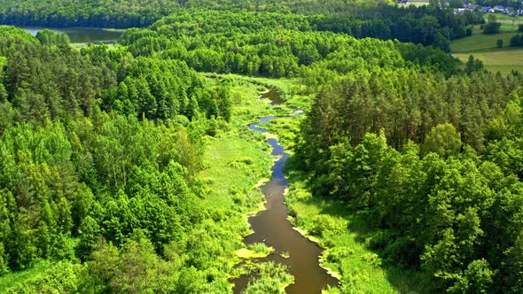Green forest and river in Tuchola natural park, aerial view alt