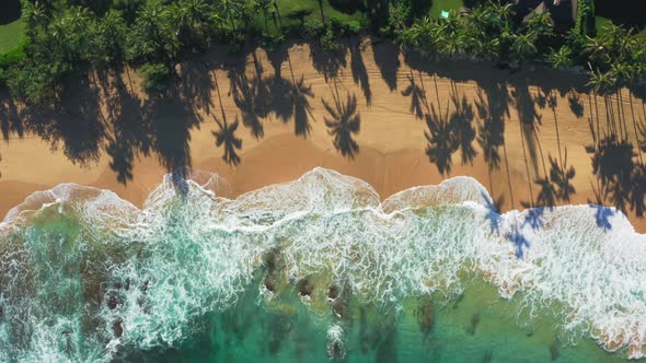 Dream Trip To Green Island. Outdoor Adventure Travel. Beautiful Hawaii Beach  alt