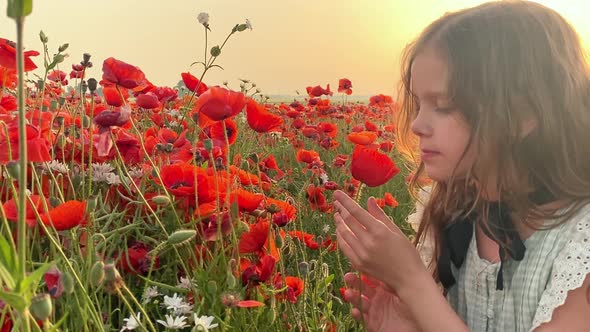 Happy girl in a field of blooming red poppies. Leisure in nature. Enjoying 4k alt