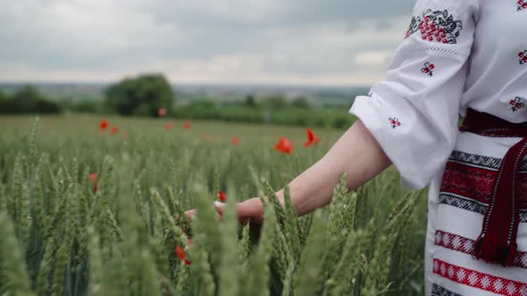 woman in Ukrainian national dress on a flowering poppy field