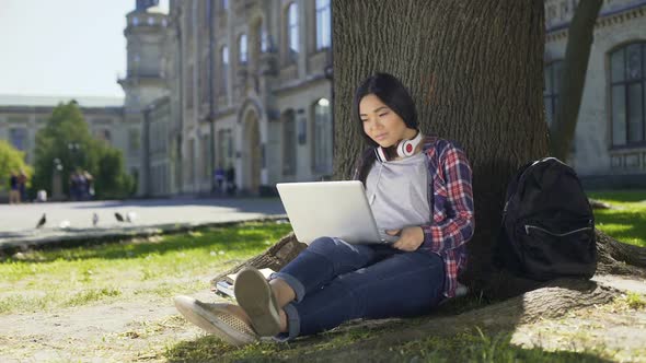 Young University Student Using Laptop, Sitting Under Tree, Smiling, Socializing alt