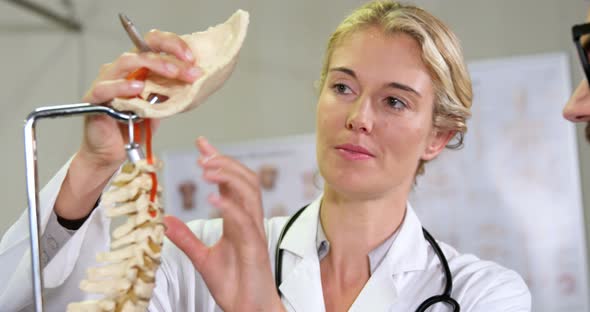 Physiotherapist explaining spine model to patient alt