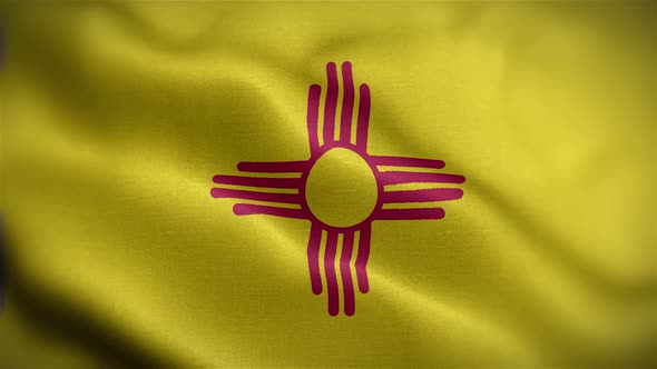 New Mexico State Flag Front