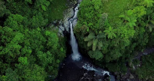 Aerial view from drone flying over nature view of waterfall in the middle dense of trees. nature is alt