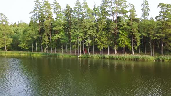 Panoramic View From Right To Left on the Forest Area in the River alt