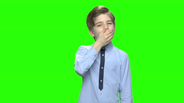 Sleepy Yawning Boy alt