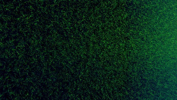 Flying On Grass 02 HD alt