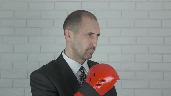 Business Knockout alt