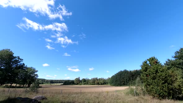 Time lapse landscape fluffy cloud sky flowing on natural forest on morning alt
