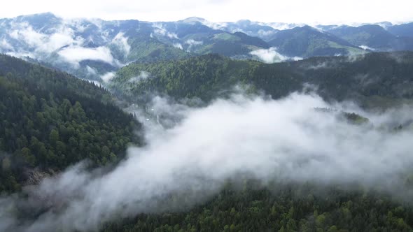Fog in the Mountains. Slow Motion. Carpathians. Ukraine. Aerial. alt