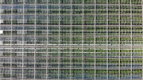 Aerial Greenhouse Farm 03