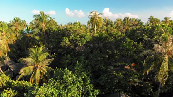 Beautiful Island alt