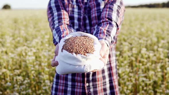An agronomist in a buckwheat field with a bag of buckwheat in his hands. alt