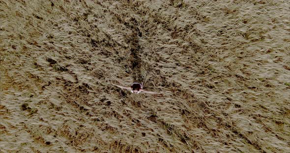 View From the Copter a Girl is Spinning in a Golden Wheat Field alt