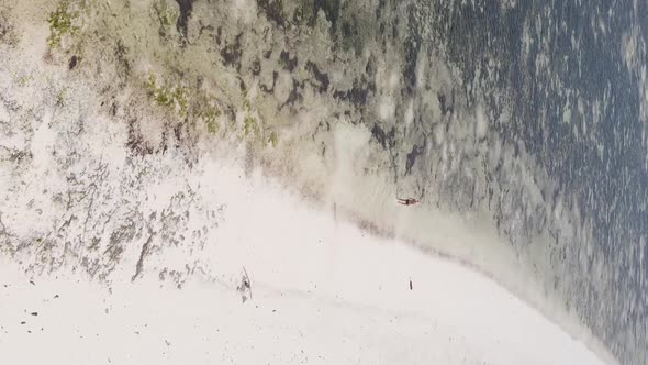 Vertical Video of a Coastal Landscape in Zanzibar Tanzania Aerial View alt